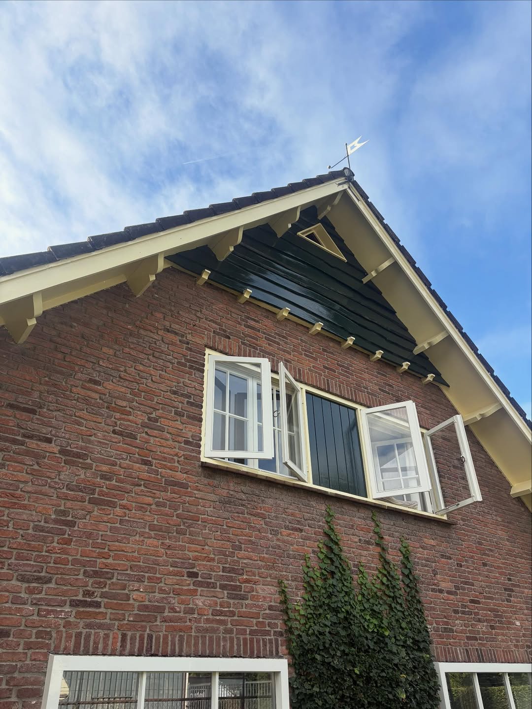 Lees meer over het artikel Gevel schilderen